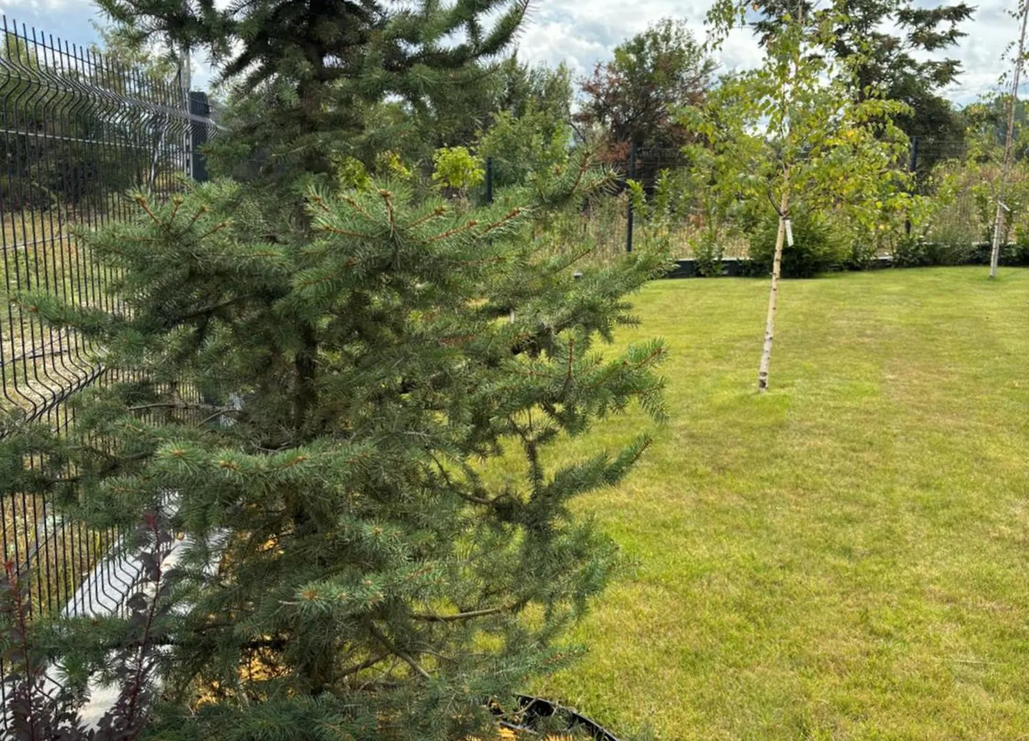 Black Diamond Business Park Sofia Free Parking Bulgarien