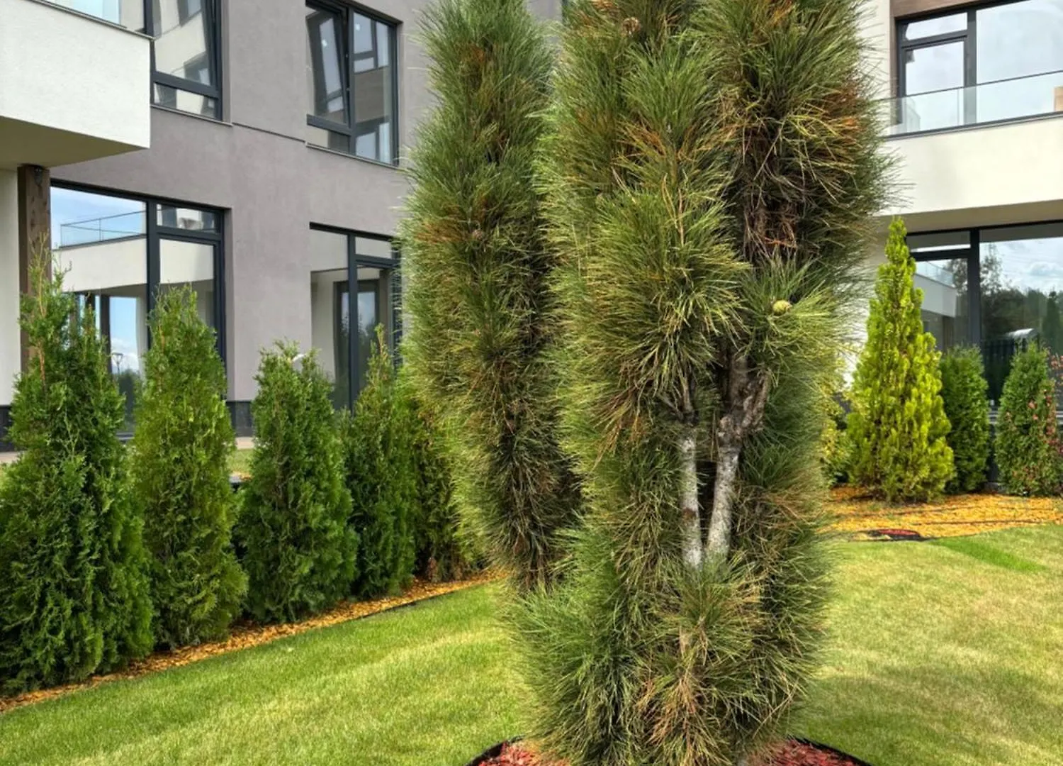 Black Diamond Business Park Sofia Free Parking